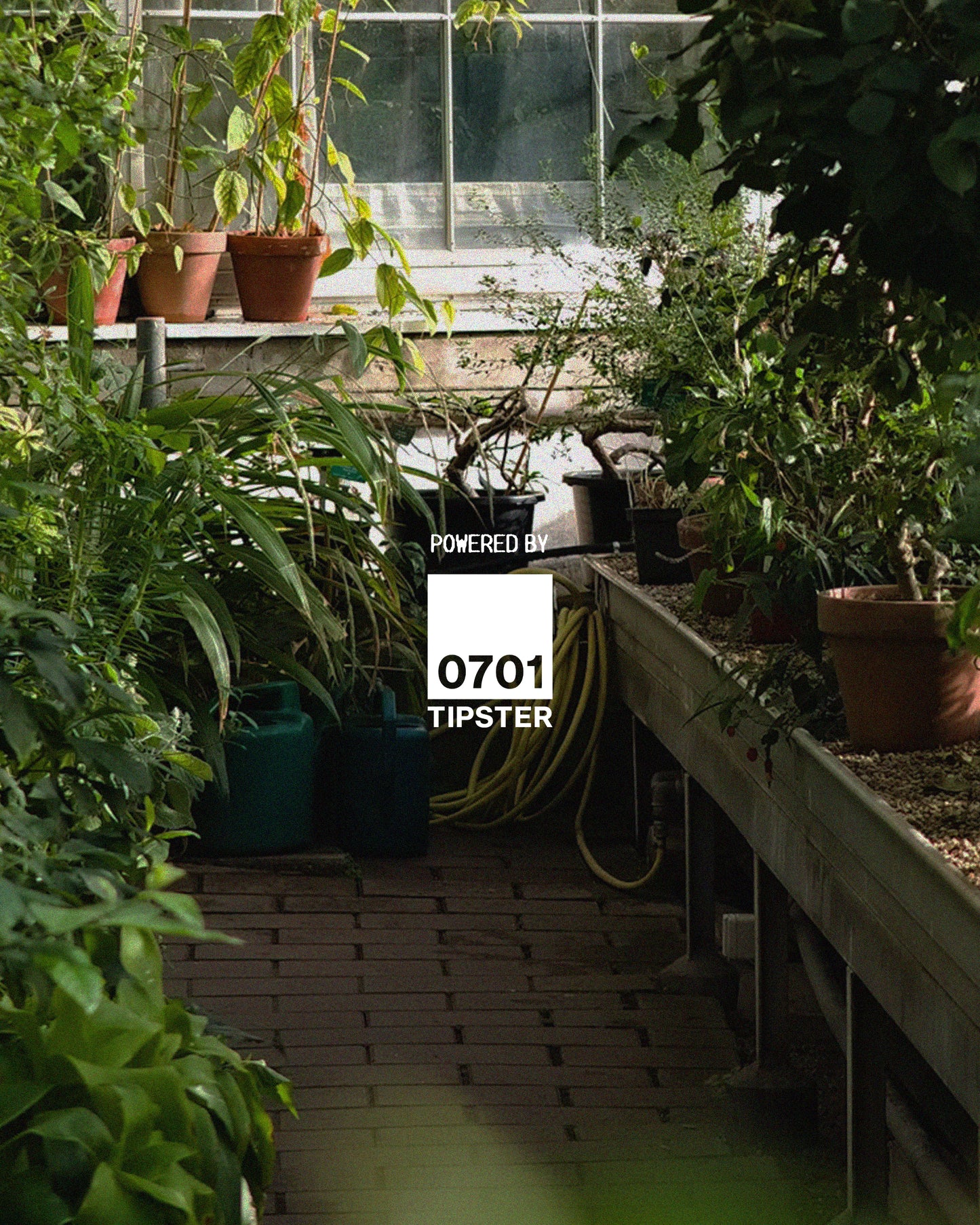 Eat Wasted Long Table Dinner at The Stop Green Barn